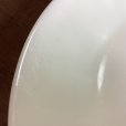 画像9: ファイヤーキングディナー皿