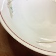 画像6: 手描きの鉢