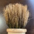 画像5: アンティーク木製のハンドルブラシ (5)